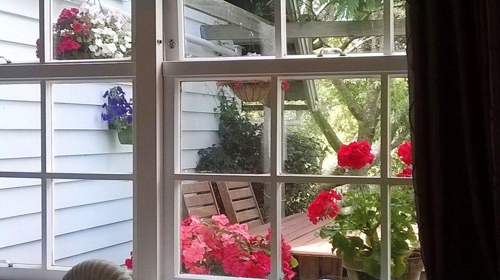Marlborough B & B Tuamarina Extérieur photo