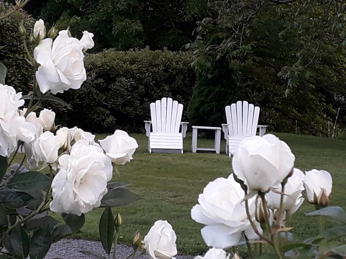 Marlborough B & B Tuamarina Extérieur photo
