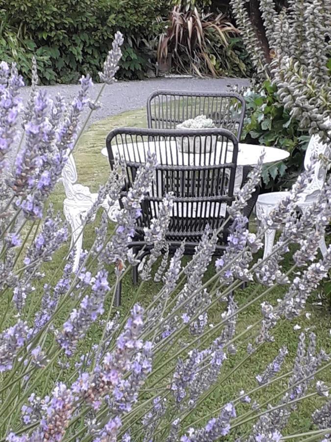 Marlborough B & B Tuamarina Extérieur photo